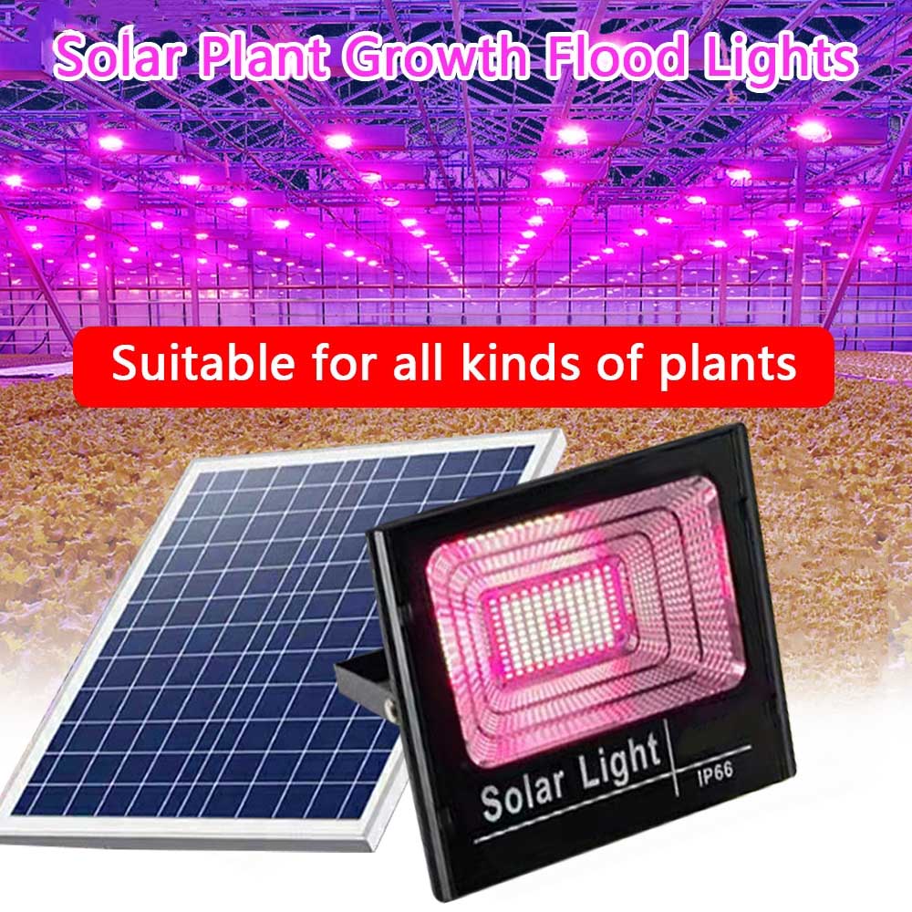 태양광 LED 성장 조명 전체 스펙트럼 투광 조명, 실 - Outdoor Power And Plant 리뷰 및 가격