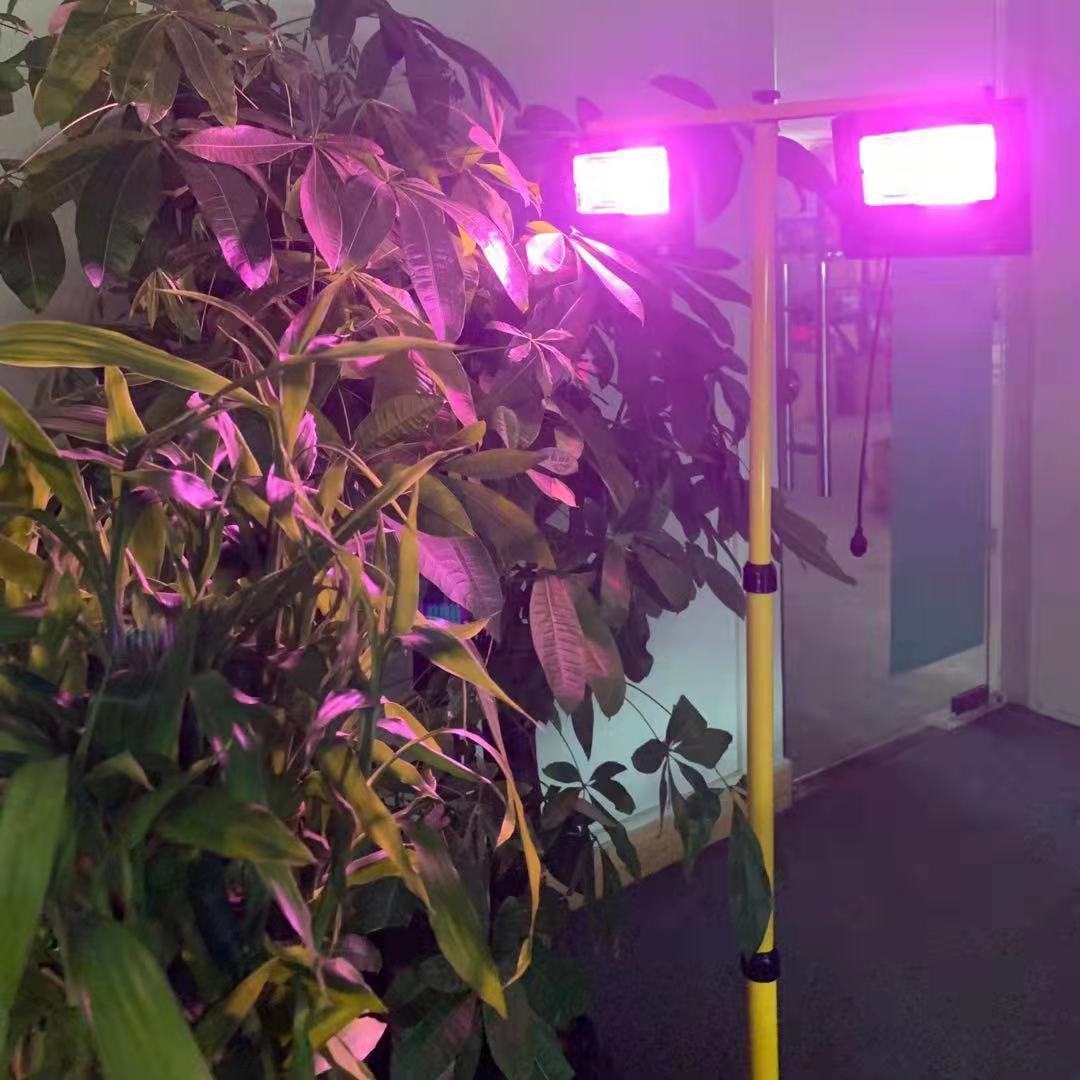 태양광 LED 성장 조명 전체 스펙트럼 투광 조명, 실 - Outdoor Power And Plant 리뷰 및 가격