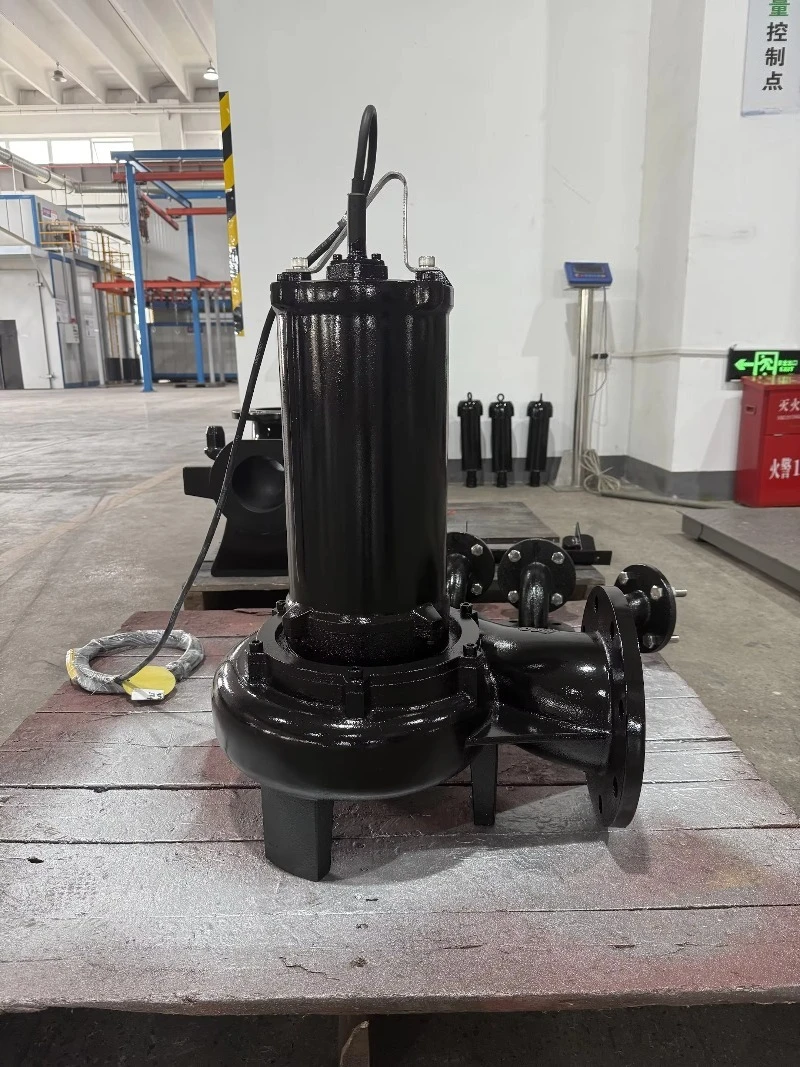 산업 폐수 처리용 수중 펌프 1마력 - Water Pump Submersible 리뷰 및 가격
